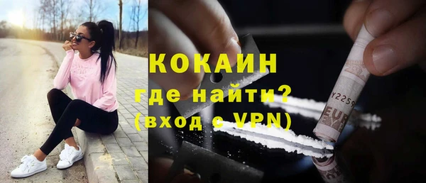 стаф Арсеньев
