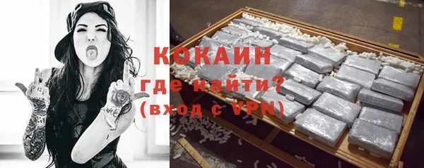 стаф Арсеньев