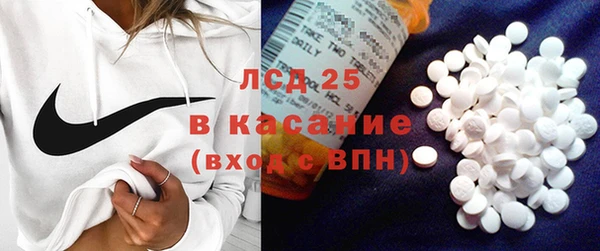 стаф Арсеньев