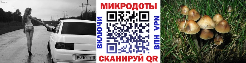 купить  сайты  Кувшиново  Галлюциногенные грибы мицелий 